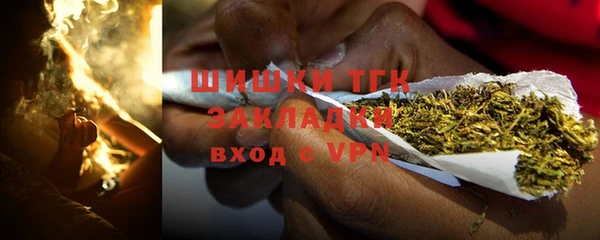 шишки Саяногорск
