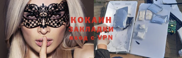 шишки Саяногорск