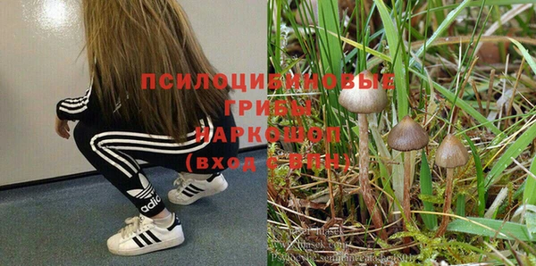 амф Абинск