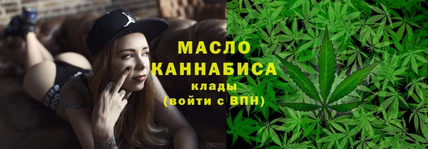 шишки Саяногорск