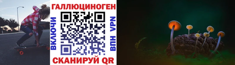 хочу наркоту  Донской  Псилоцибиновые грибы мицелий 