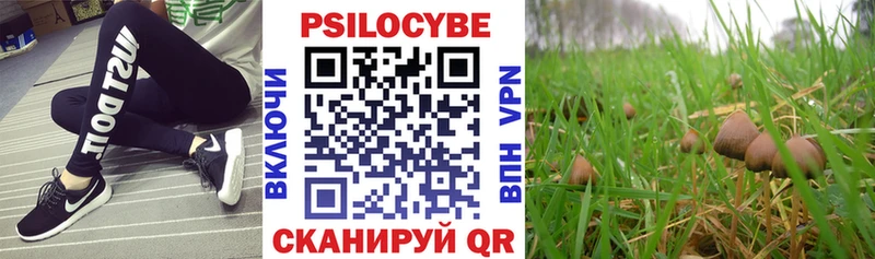 Галлюциногенные грибы мухоморы Донской